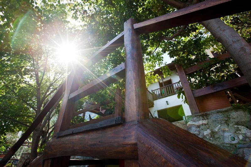 Victoria'S Guesthouse Νταμούχαρη Εξωτερικό φωτογραφία